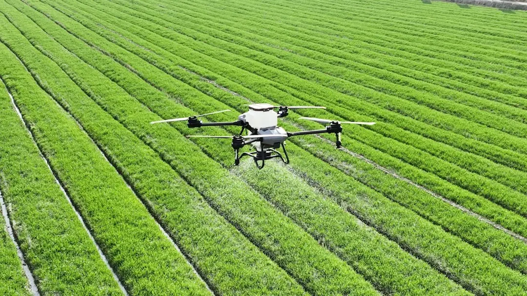 Innowacje w rolnictwie: Jak nowe technologie zmieniają polskie pola