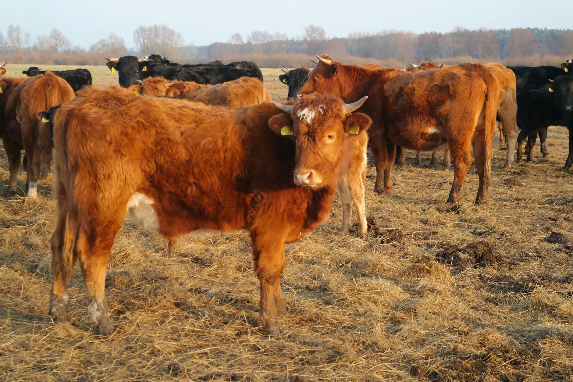 skupina farmářů na školení o agroekologii