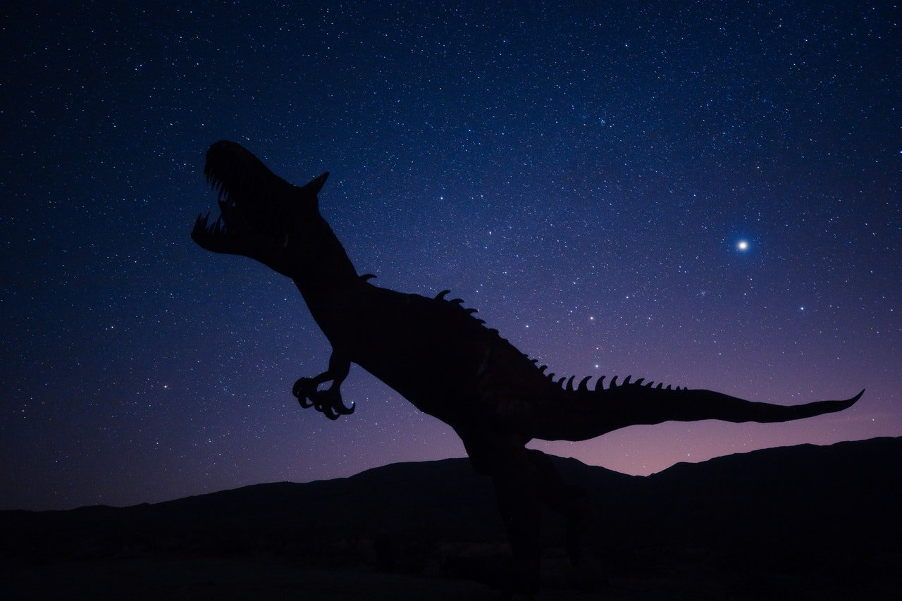 Jak vypadalo mládě tyranosaura? Bylo velké asi jako border kolie.