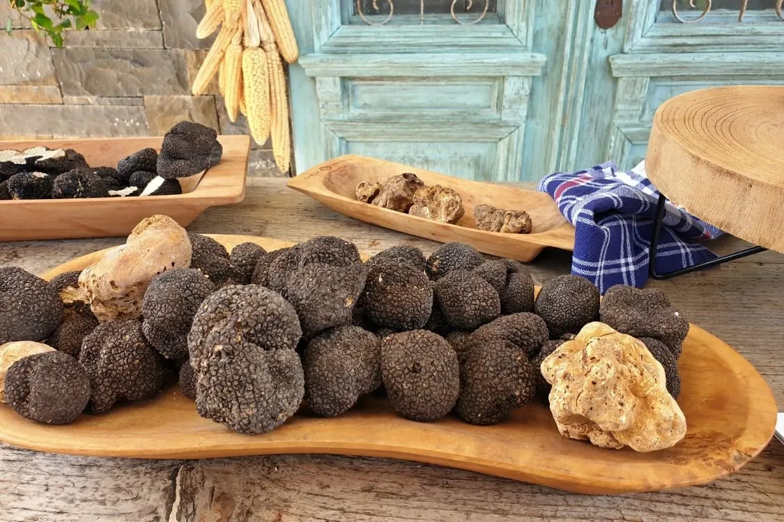 KARLIĆ: Skvělý dárek pro gurmány – od majonézy s lanýži po lanýžovou salsu