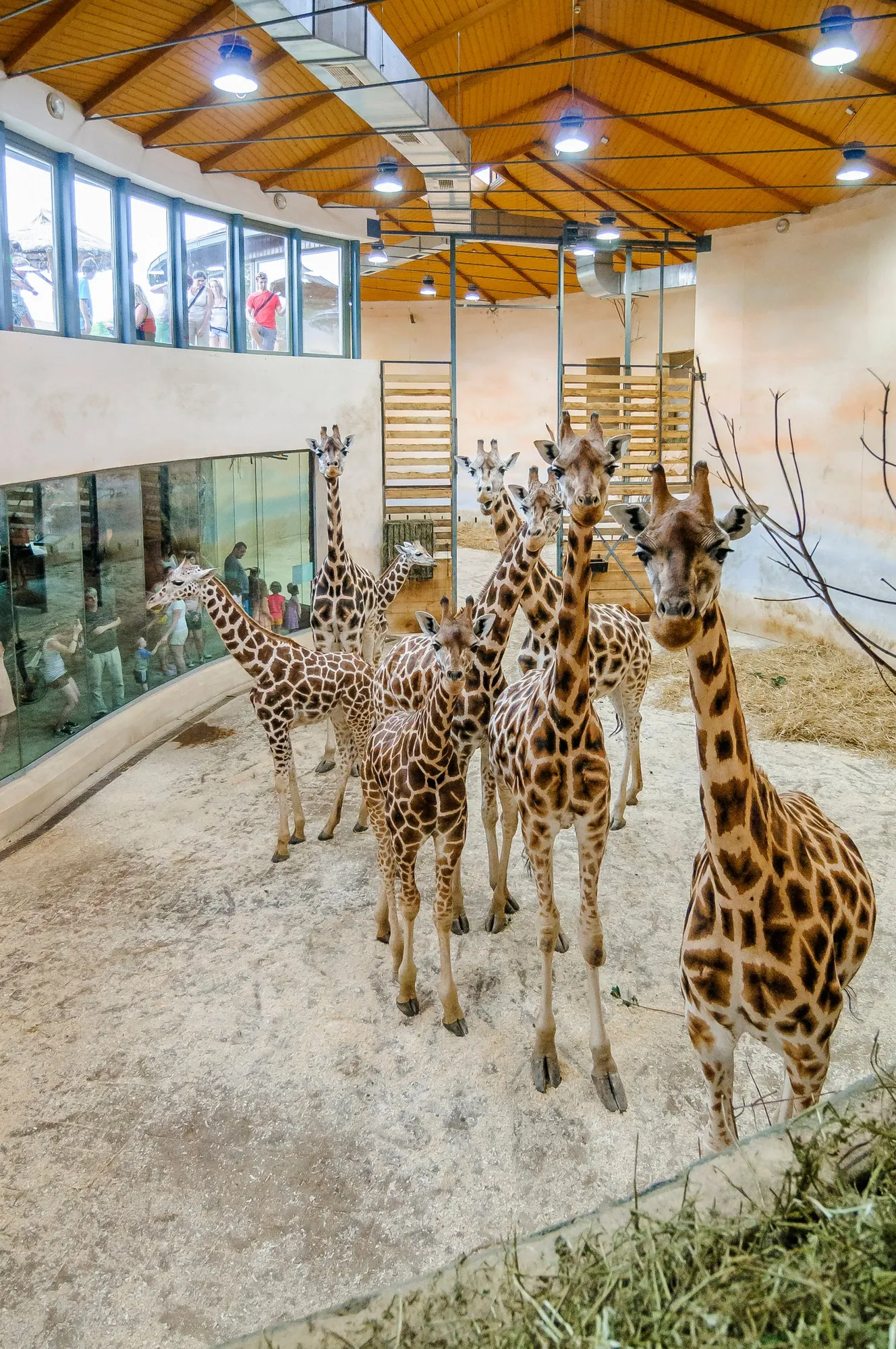 ZOO Praha zahájila již 91. sezónu