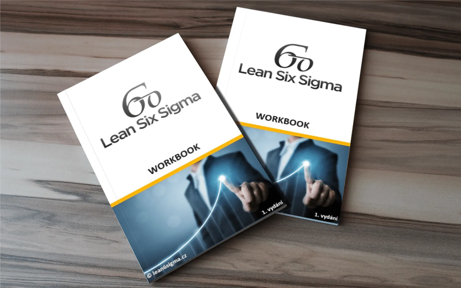 Lean Six Sigma