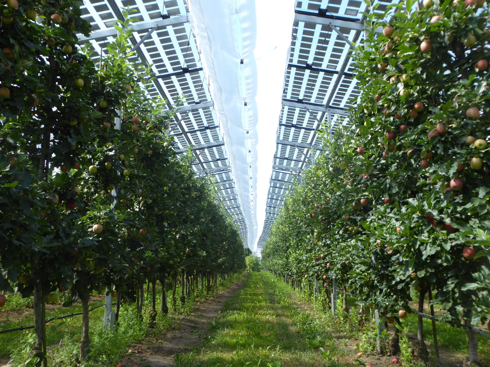 Bioplynky, biometan a agrivoltaika 2026: na co dostanou zemědělci dotaci